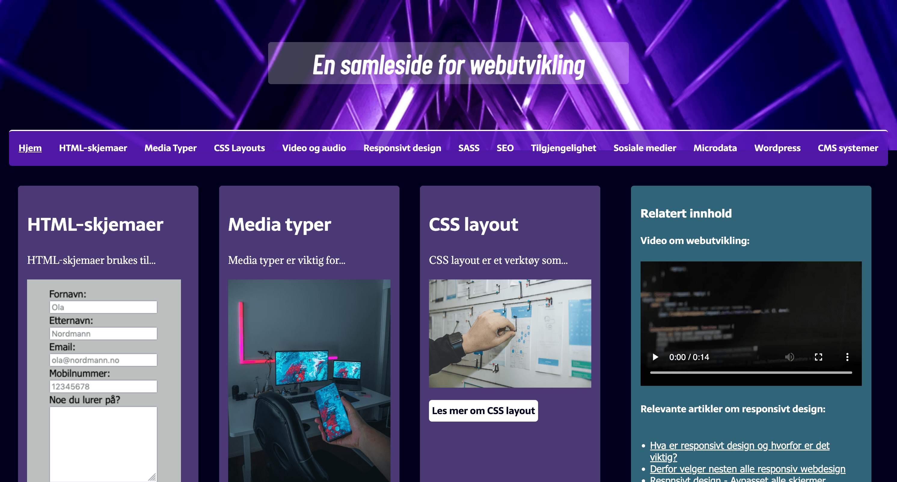 website overview - final version
